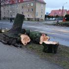 zdjęcie nr 16