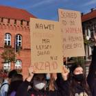 zdjęcie nr 22