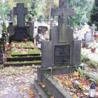 zdjęcie nr 10