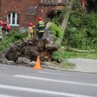 zdjęcie nr 7