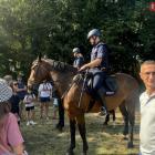 zdjęcie nr 35