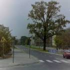 zdjęcie nr 24