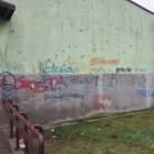 Fotka nr 4 z 9