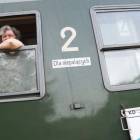 zdjęcie nr 9