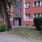 Fotka nr 1 z 3
