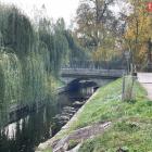 Fotka nr 1 z 10