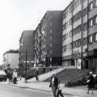 Fotka nr 5 z 21