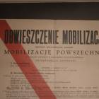 zdjęcie nr 18