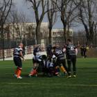 Fotka nr 2 z 10