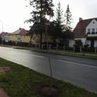 zdjęcie nr 10