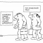 zdjęcie nr 11