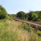 zdjęcie nr 8