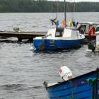 zdjęcie nr 13