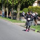 zdjęcie nr 137