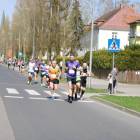 zdjęcie nr 45