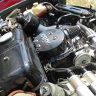 Fotka nr 3 z 24