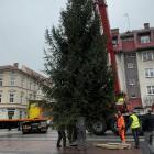 zdjęcie nr 7