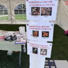 zdjęcie nr 18