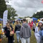 zdjęcie nr 37