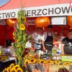 zdjęcie nr 24