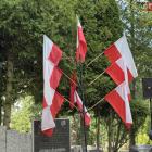 zdjęcie nr 43