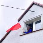 zdjęcie nr 11