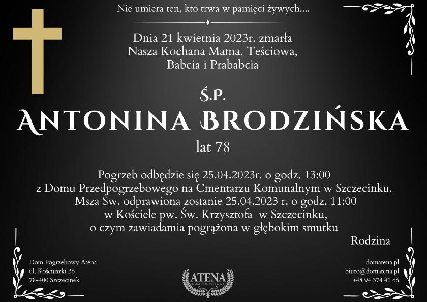 Antonina Brodzińska