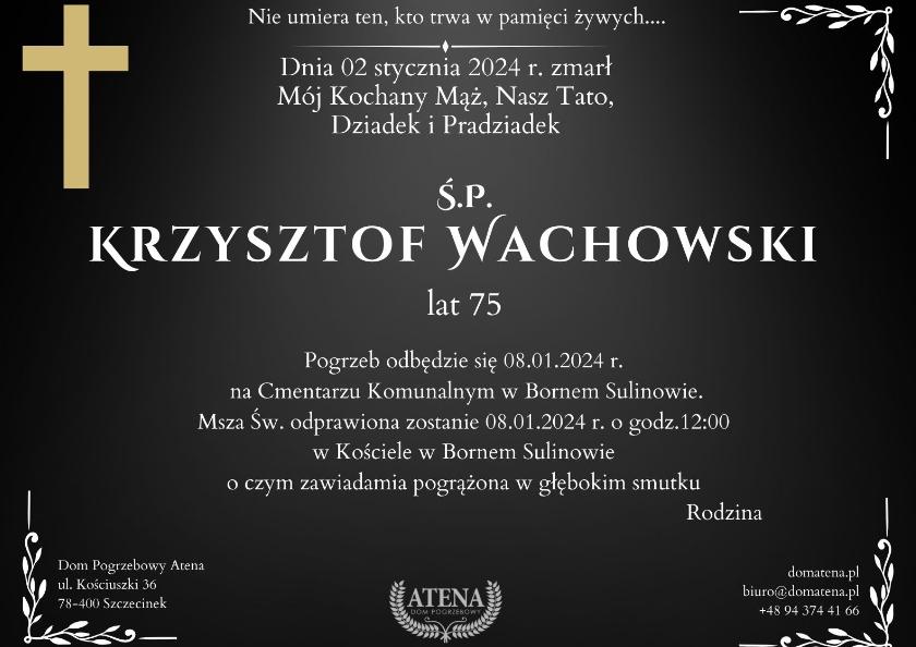 Krzysztof Wachowski