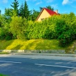zdjęcie nr 
