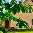 zdjęcie nr 