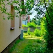 zdjęcie nr 