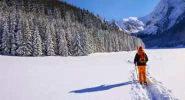 Ekoturystyka. Czym jest i jak podróżować w zgodzie z naturą?