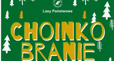 Chcesz choinkę? Możesz ją sobie wyciąć
