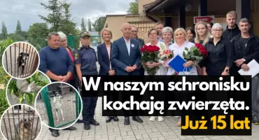 Zwierzęta mają tu opiekę i schronienie. Schronisko w Szczecinku świętuje 15 lat!