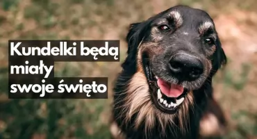 Wystawa Psów Nierasowych. Ruszyły zapisy