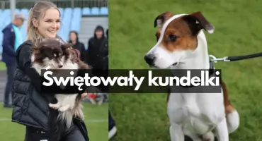 To była pierwsza Wystawa Psów Nierasowych w Szczecinku