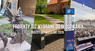 Oficjalnie: 25 projektów w budżecie obywatelskim. Od rzeźb po kort do padla