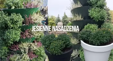 1200 kwiatów na jesień. PGK zakończyło sezonową wymianę