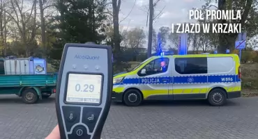 Żeby nie dmuchać w alkomat wjechał autem w krzaki