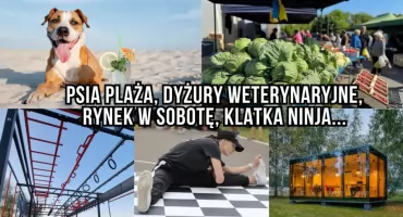 Tego w Szczecinku jeszcze nie było. Te projekty wygrały w BO 2026