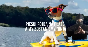 Psy na plażę, sztuka w kontenerze, festiwal smaków i inne. Czego dokładnie chcieliśmy?