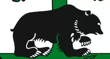 Burmistrz Barwic ogłasza. Wykaz nieruchomości przeznaczonych do sprzedaży