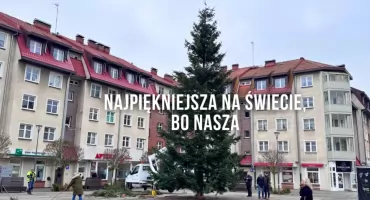 Świąteczny klimat na placu. Piękna jodła już stoi!