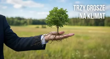 Klimat za trzy grosze. W tym rankingu mocno dostaliśmy, ale...