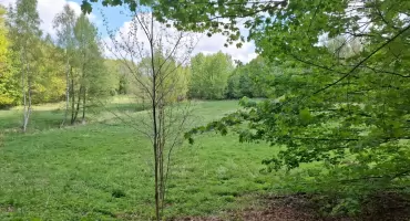 Zarząd Powiatu Szczecineckiego infomuje