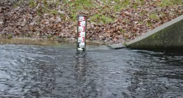 Gdy Niezdobna płynęła do tyłu
