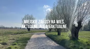 Burmistrz chce Marcelina, ale nie chce drażnić wójta