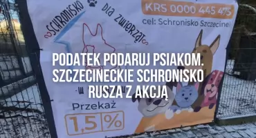 Schronisko w Szczecinku stawia na 1,5 procent. Olbrzymi wzrost
